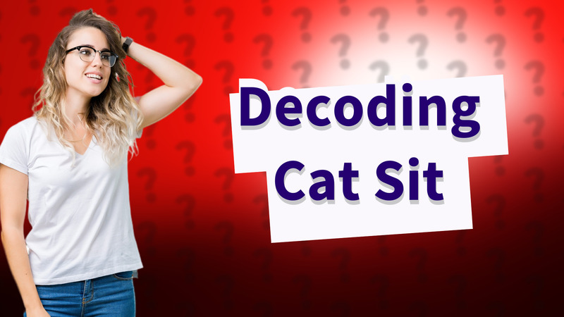 Decoding Cat Sit
