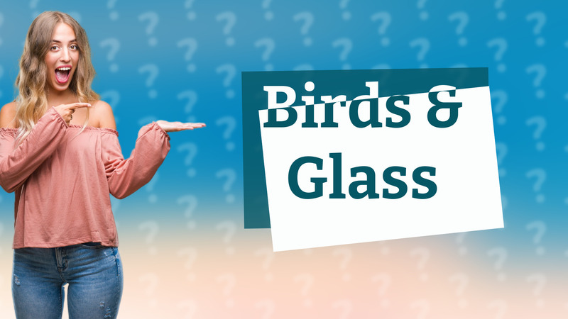 Birds & Glass