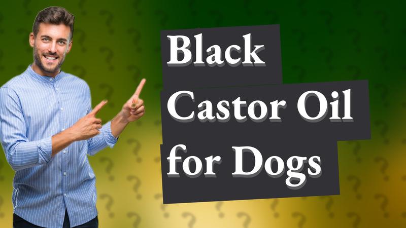 Black Castor Oil for Dogs
