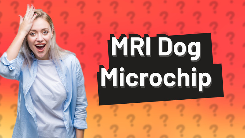 MRI Dog Microchip