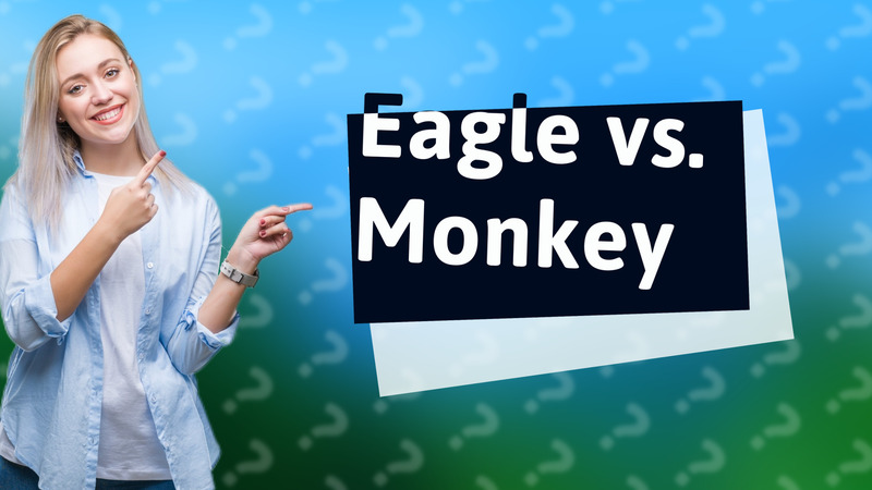Eagle vs. Monkey