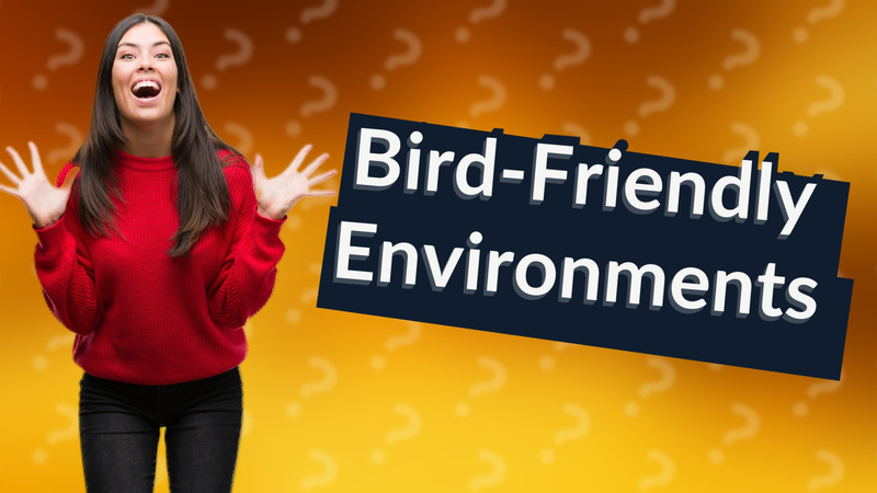 Bird-Friendly Environments