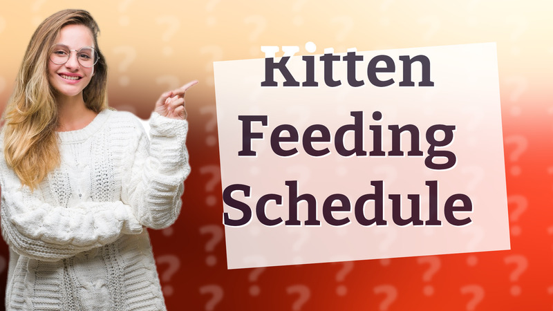 Kitten Feeding Schedule