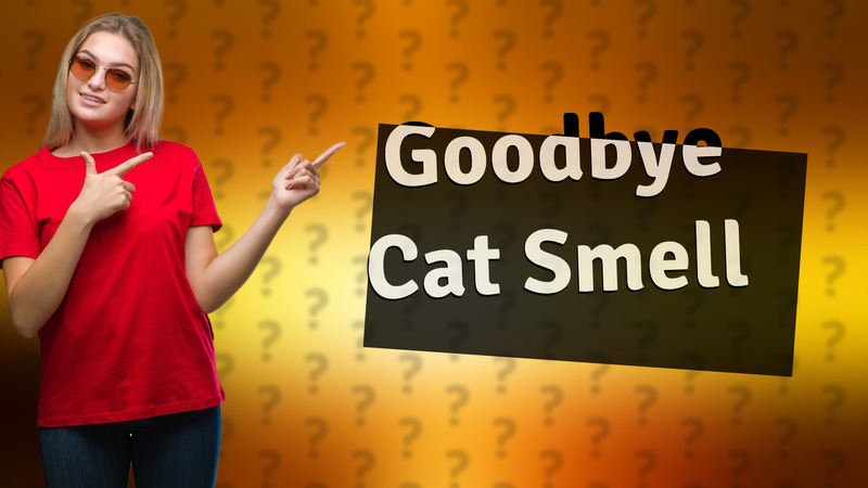 Goodbye Cat Smell