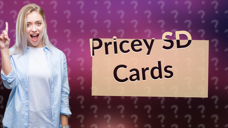 Pricey SD Cards