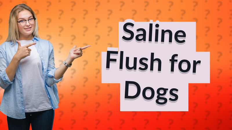 Saline Flush for Dogs