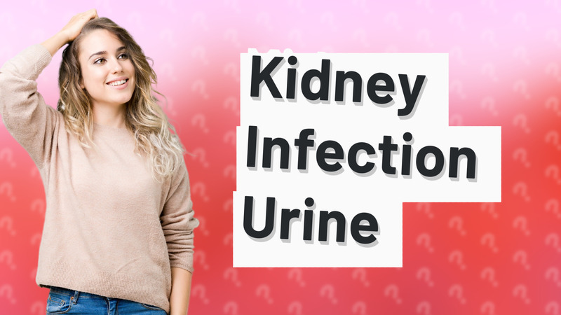 Kidney Infection Urine
