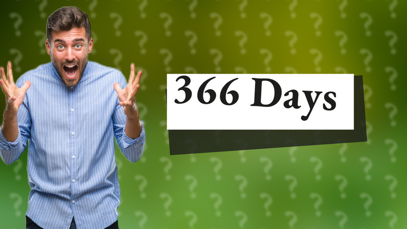 366 Days