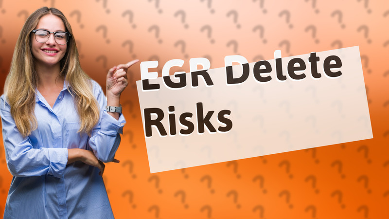 EGR Delete Risks
