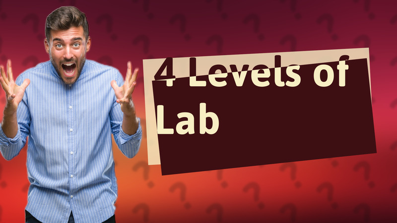 4 Levels of Lab