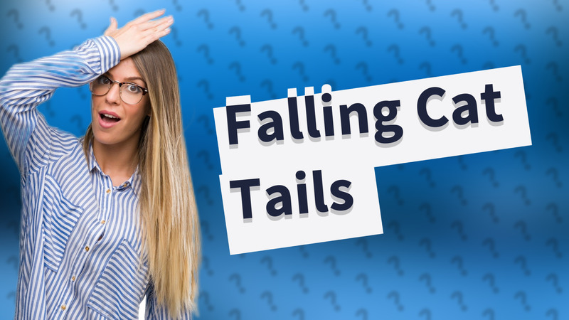 Falling Cat Tails