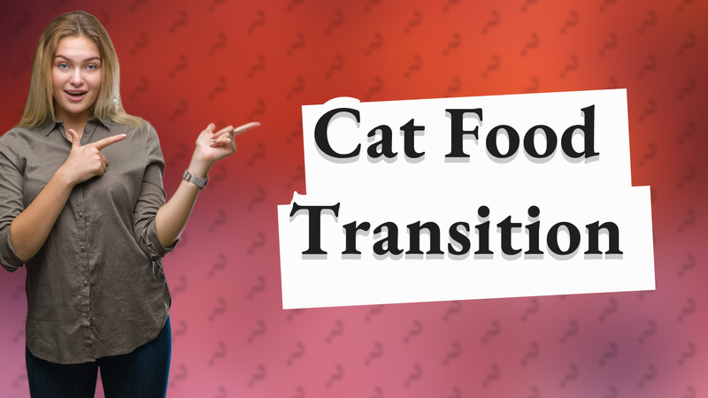 Cat Food Transition