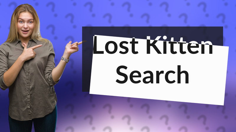 Lost Kitten Search