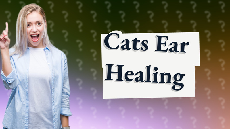 Cats Ear Healing