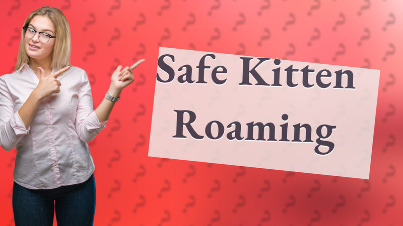 Safe Kitten Roaming