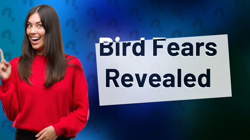Bird Fears Revealed