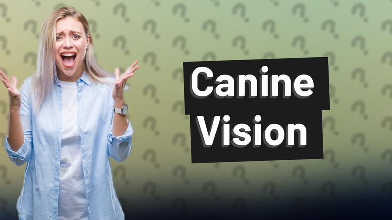 Canine Vision
