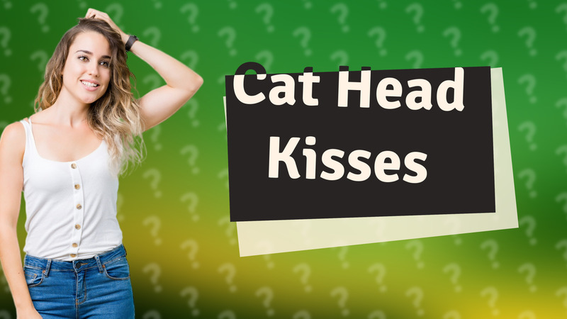 Cat Head Kisses