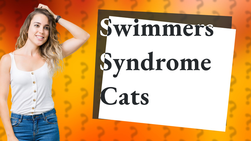 Swimmers Syndrome Cats