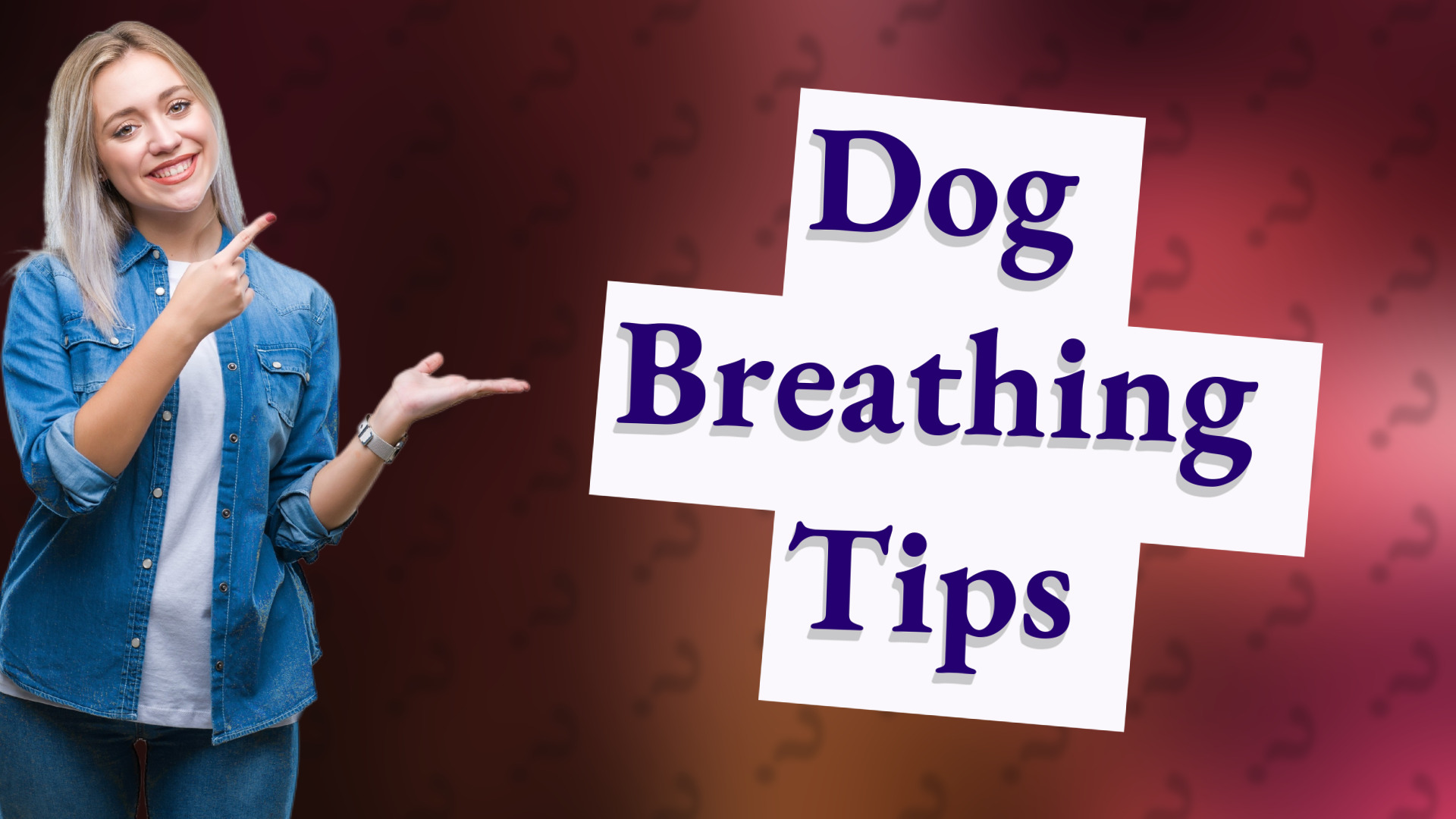 Dog Breathing Tips