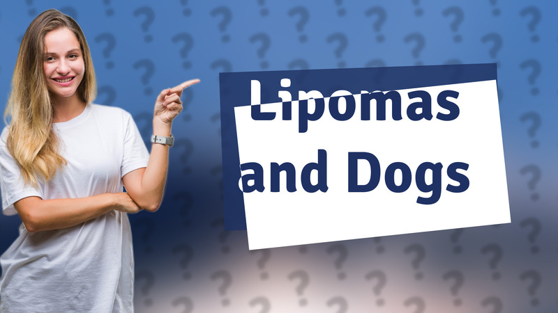 Lipomas and Dogs