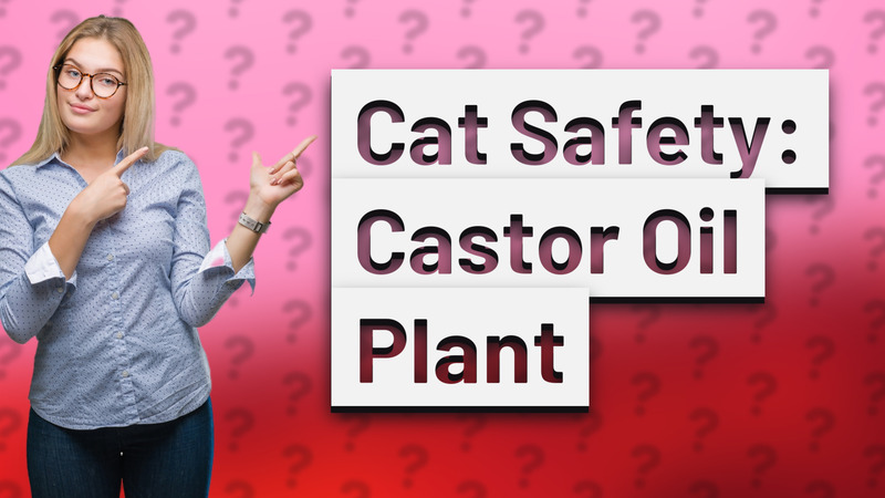 Cat Safety: Castor Oil Plant