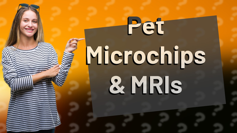 Pet Microchips & MRIs