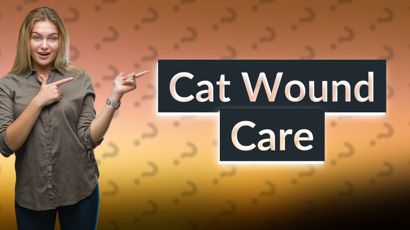 Cat Wound Care