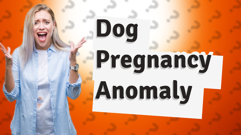 Dog Pregnancy Anomaly