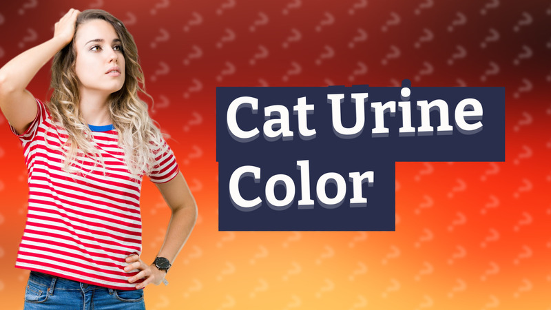 Cat Urine Color