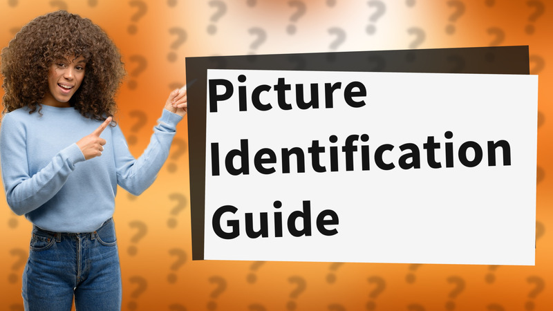 Picture Identification Guide