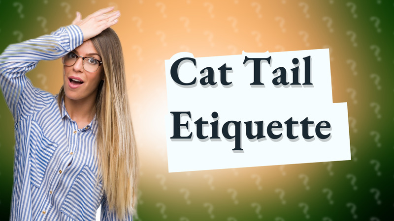 Cat Tail Etiquette