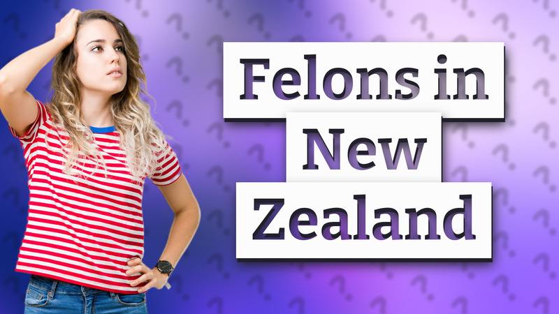 Felons in New Zealand
