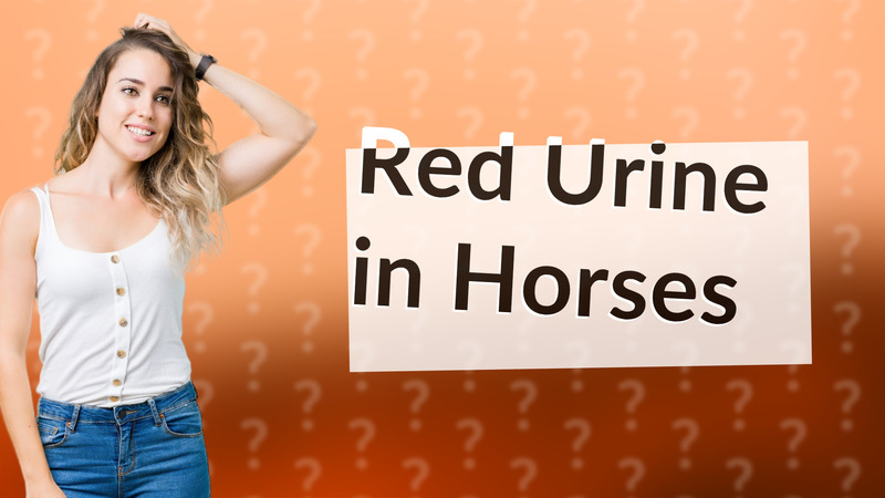 Red Urine in Horses
