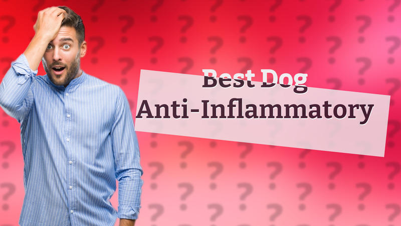 Best Dog Anti-Inflammatory