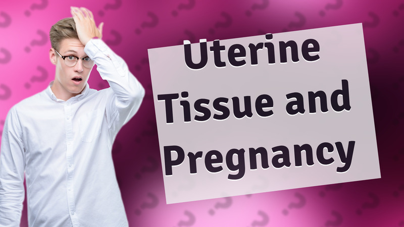 Uterine Tissue and Pregnancy