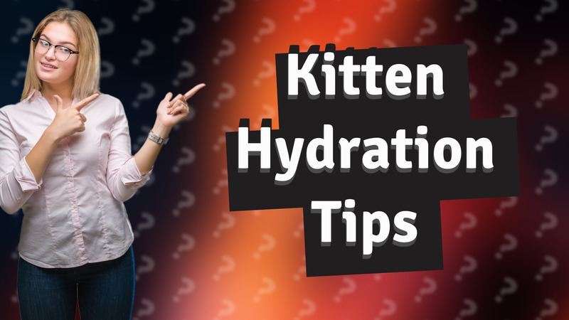Kitten Hydration Tips