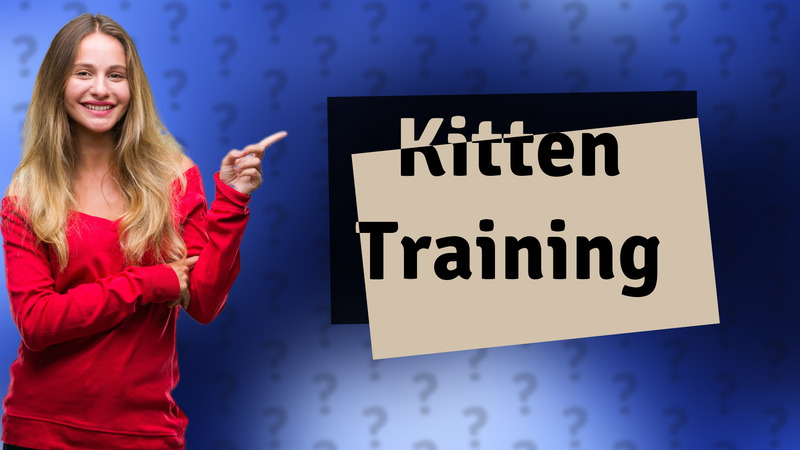 Kitten Training