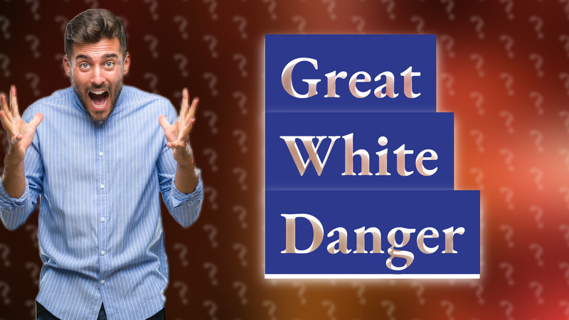 Great White Danger