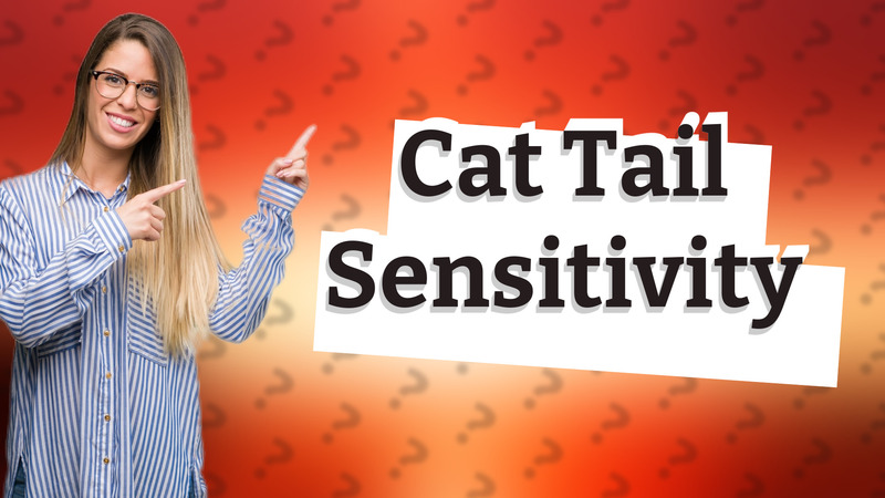 Cat Tail Sensitivity