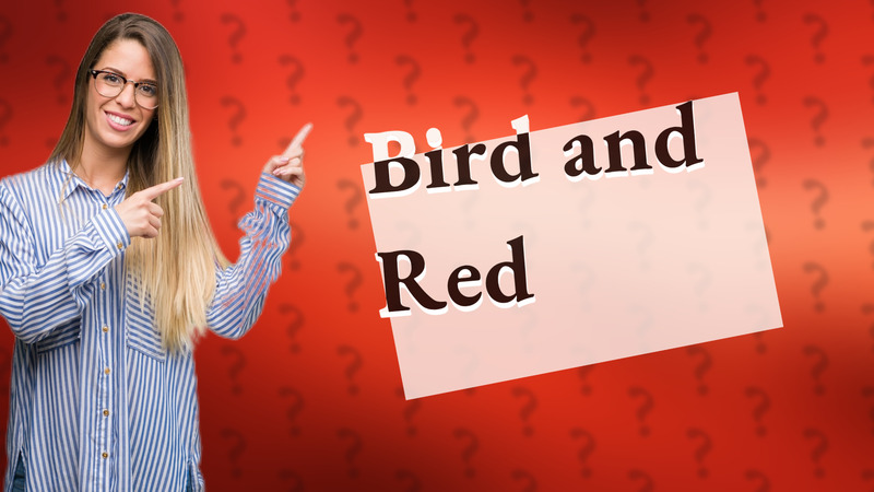 Bird and Red