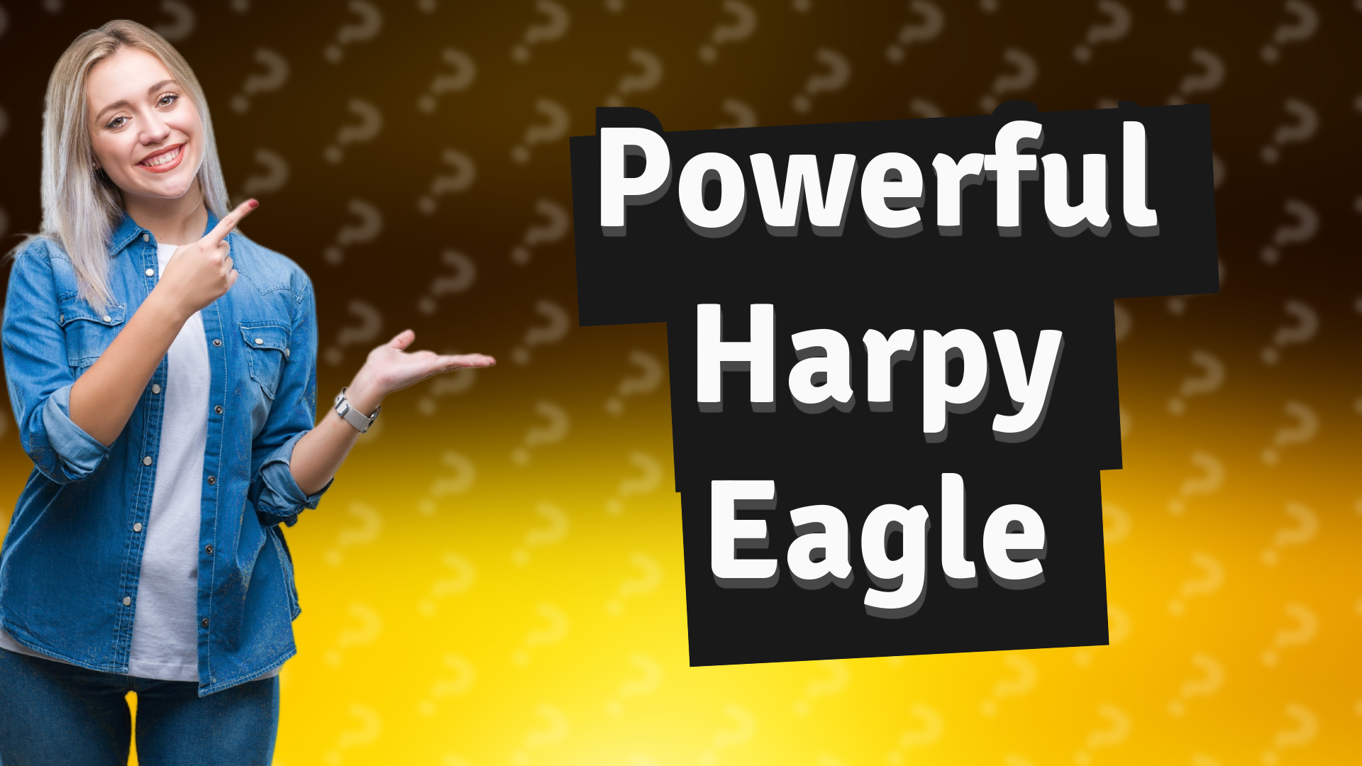 Powerful Harpy Eagle