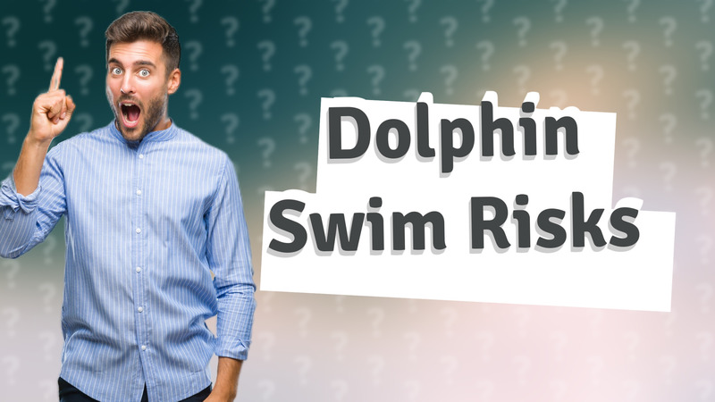Dolphin Swim Risks