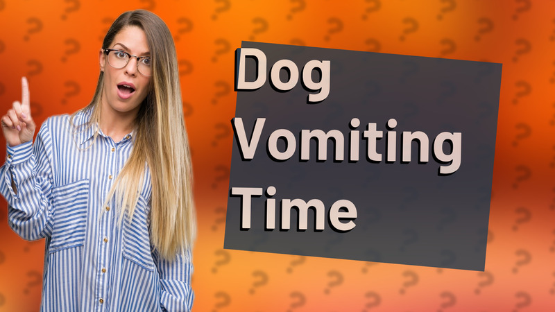 Dog Vomiting Time