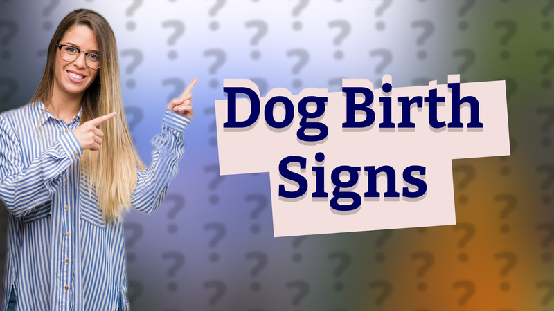 Dog Birth Signs