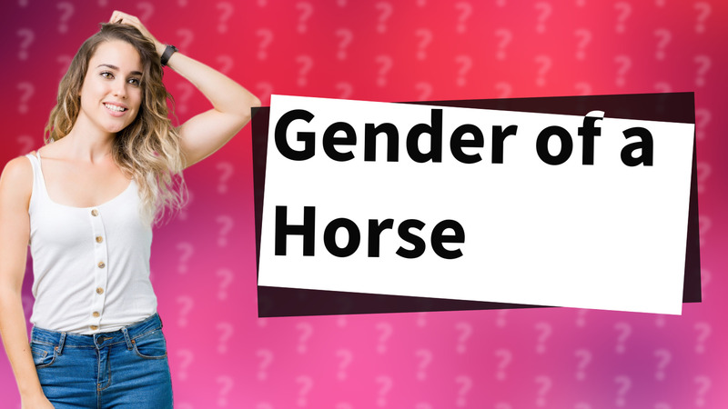 Gender of a Horse