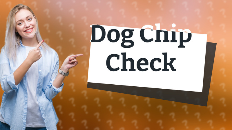 Dog Chip Check