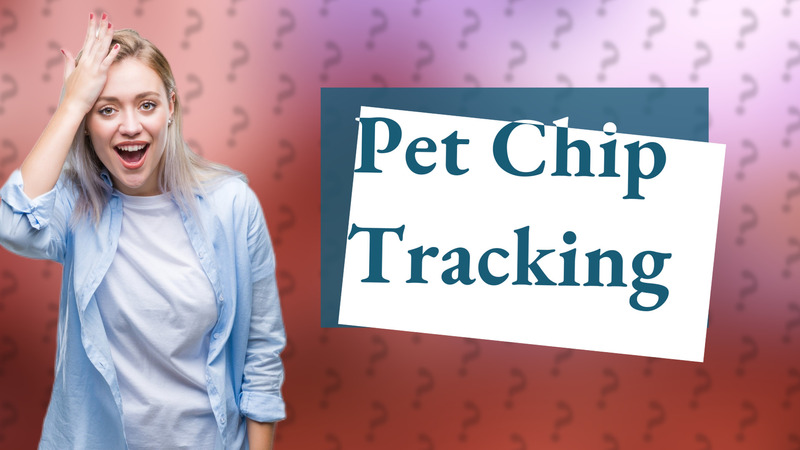 Pet Chip Tracking