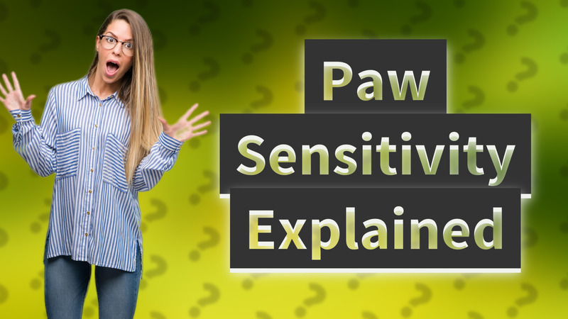 Paw Sensitivity Explained