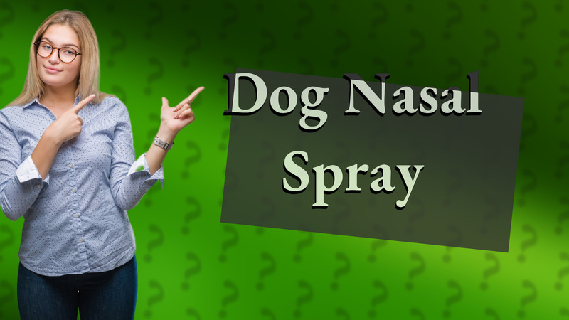 Dog Nasal Spray